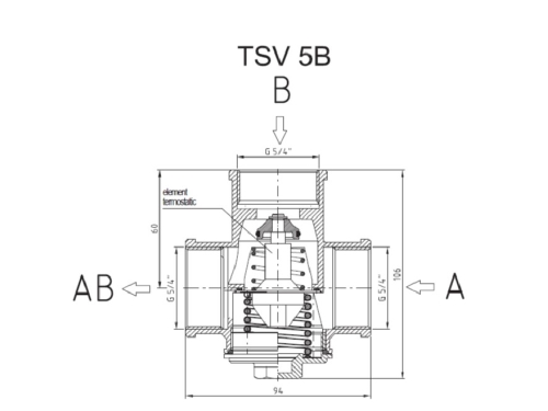 VENTIL TERMOREGULATOR REGULUS TSV5B DN 32 - 50°C