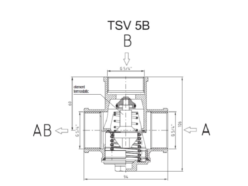 VENTIL TERMOREGULATOR REGULUS TSV5B DN 32 - 60°C